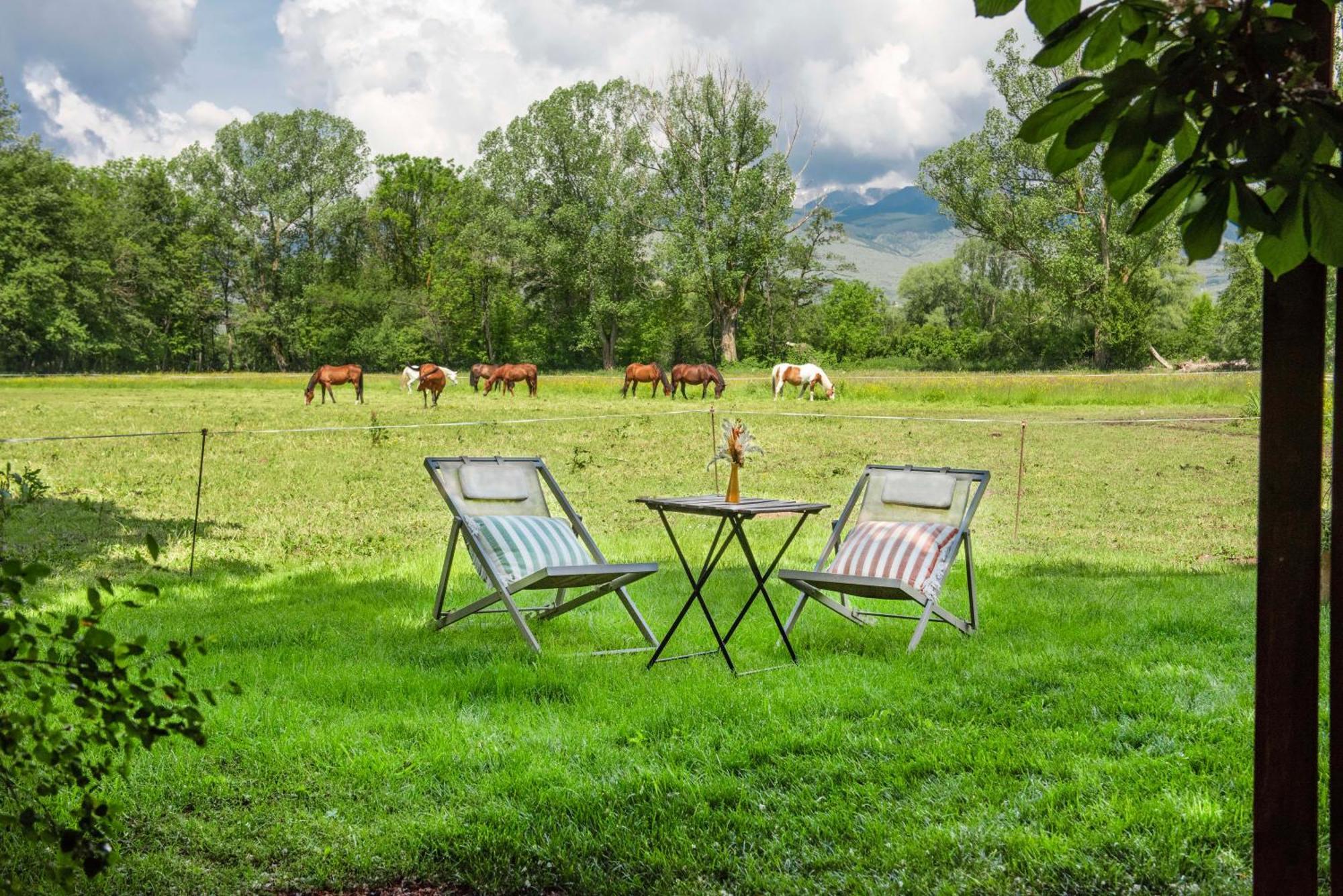 Pensjonat Mas Sant Marc Puigcerdà Pokój zdjęcie